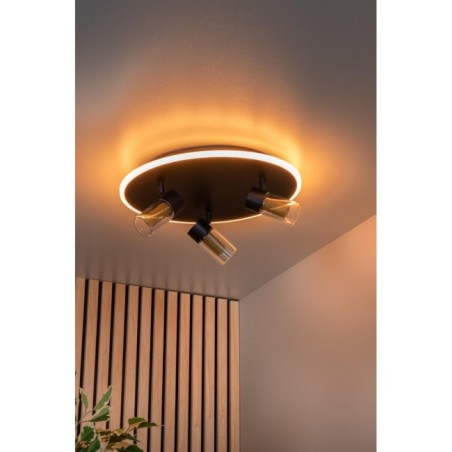 Everina LED Ceiling Light (3x5W)