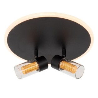 Everina LED Ceiling Light (2x5W)