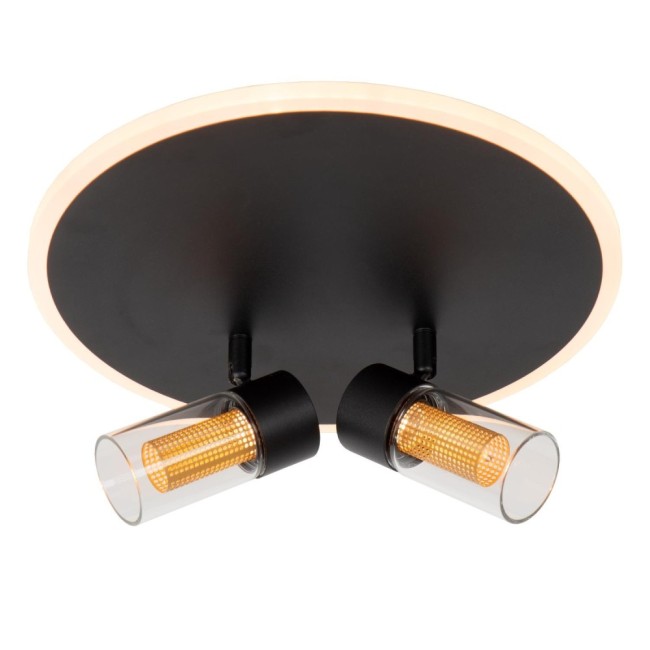 Everina LED Ceiling Light (2x5W)
