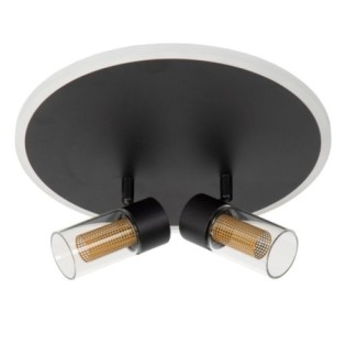 Everina LED Ceiling Light (2x5W)