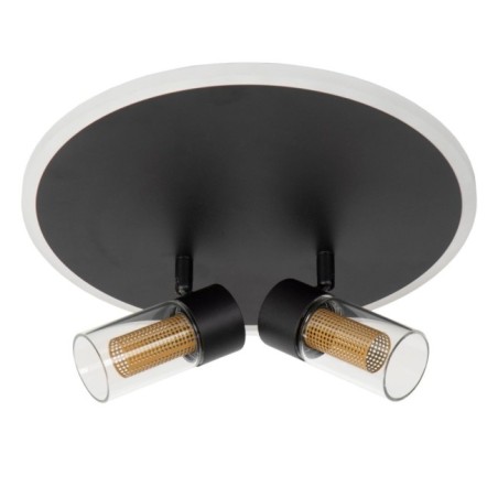 Everina LED Ceiling Light (2x5W)