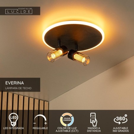Everina LED Ceiling Light (2x5W)