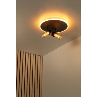 Everina LED Ceiling Light (2x5W)
