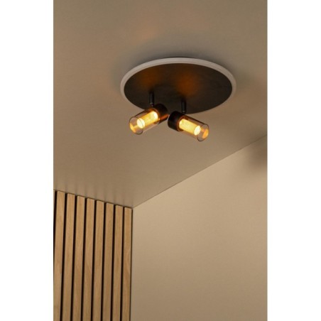 Everina LED Ceiling Light (2x5W)