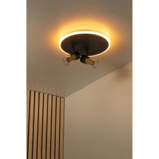 Everina LED Ceiling Light (2x5W)