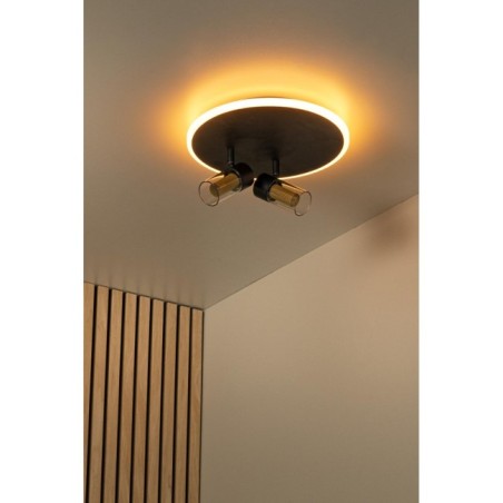 Everina LED Ceiling Light (2x5W)