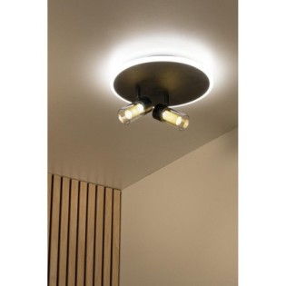 Everina LED Ceiling Light (2x5W)