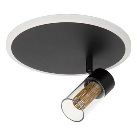 Everina LED Ceiling Light (5W)