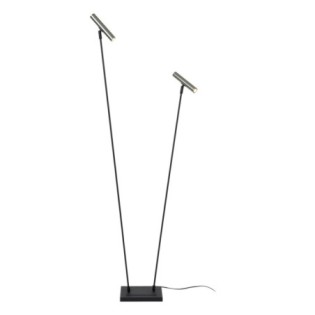 Duarte Floor Lamp (2 lights)