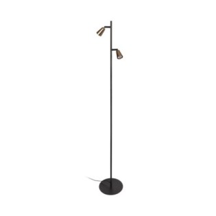 Tiana Floor Lamp (2 lights)