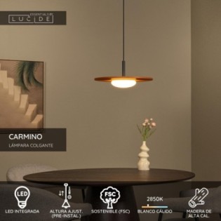 Carmino LED Ceiling Lamp (8W)