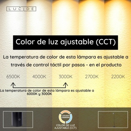 Skanska LED Floor Lamp Rech CCT (3W)