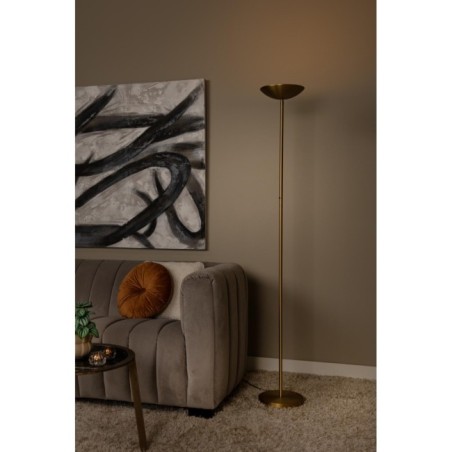 Zenith LED Floor Lamp (20W)