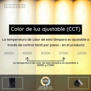 LED wall lamp with switch Toni (2W)