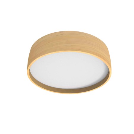 Bloom LED ceiling flush light (12W)