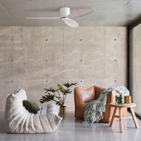 Radar CTC Mini Ceiling Fan