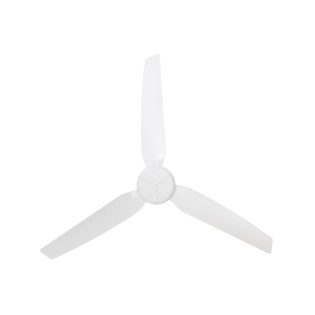 Polis ceiling fan