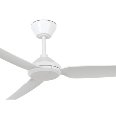 Polis ceiling fan