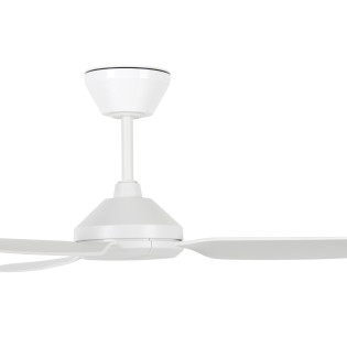 Polis ceiling fan