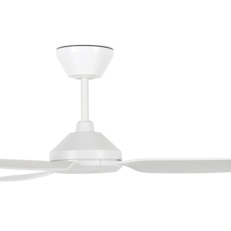 Polis ceiling fan