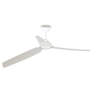Polis ceiling fan