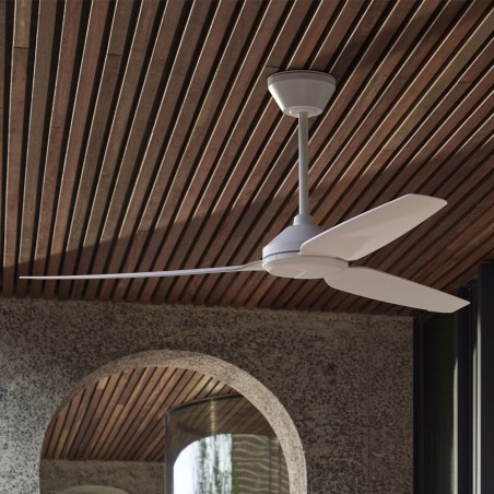 Polis ceiling fan
