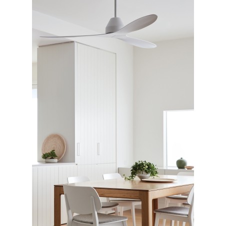 Whitehaven ceiling fan