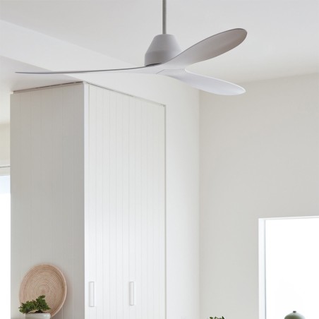 Whitehaven ceiling fan