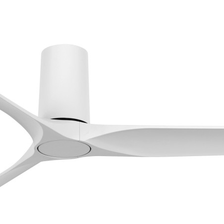 Londo ceiling fan