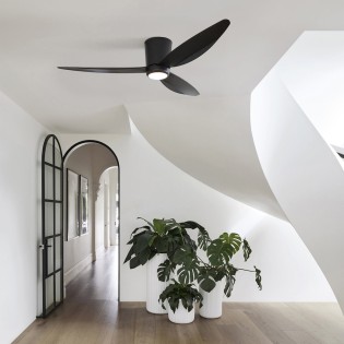 Ceiling fan with light Array