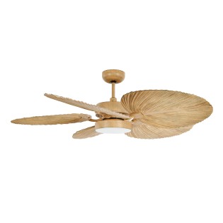 Bali ceiling fan
