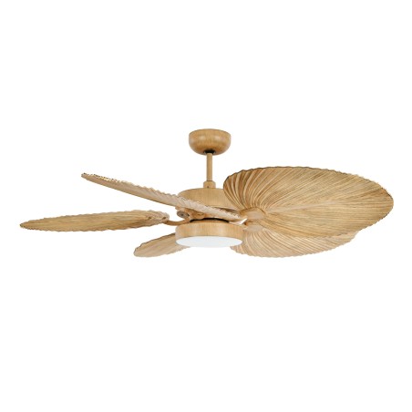 Bali ceiling fan