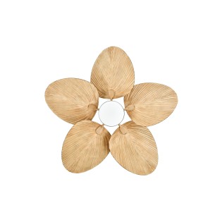 Bali ceiling fan