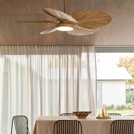 Bali ceiling fan