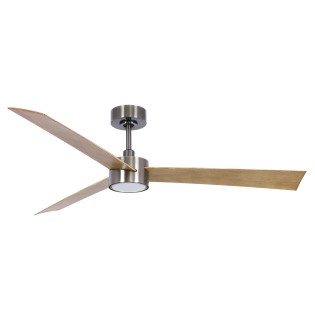 Climate IV ceiling fan with light