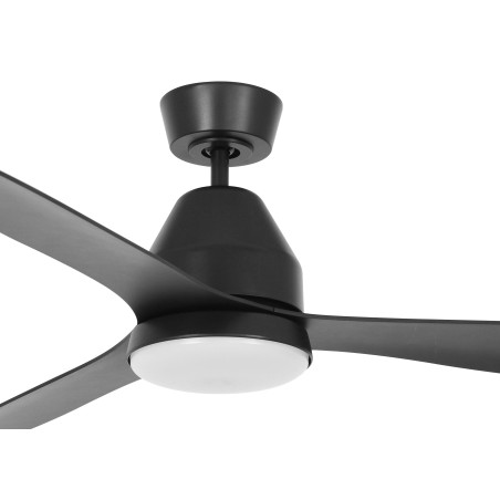 Whitehaven ceiling fan with light