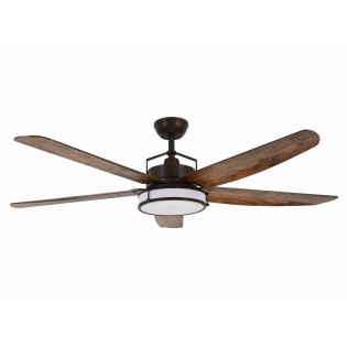 Louisville ceiling fan with light