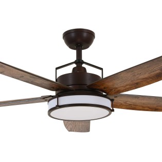 Louisville ceiling fan with light