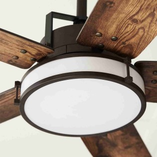 Louisville ceiling fan with light