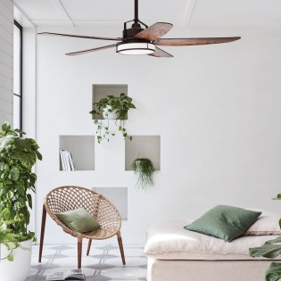 Louisville ceiling fan with...