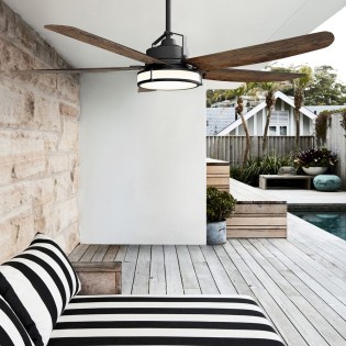 Louisville ceiling fan with light