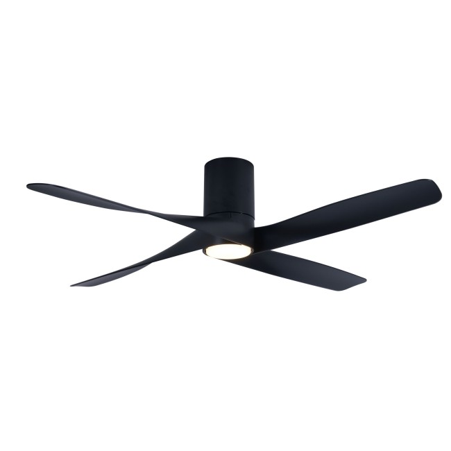 Riviera ceiling fan with light