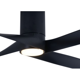 Riviera ceiling fan with light