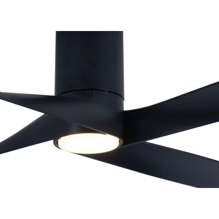 Riviera ceiling fan with light