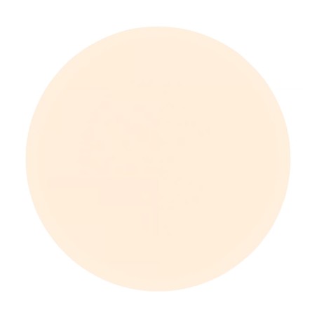 LED ceiling flush light Vic 29 (23.50W)