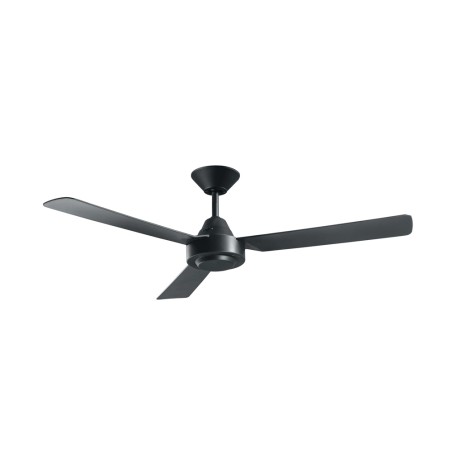 Calypso ceiling fan