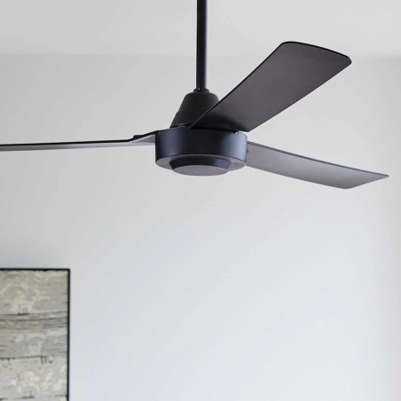 Calypso ceiling fan