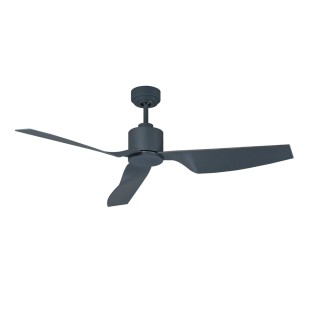 Climate II ceiling fan