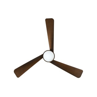 Osprey ceiling fan with light