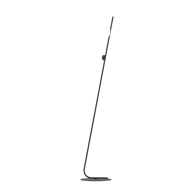 Zayra black floor lamp (2 lights)